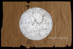 Cyanobacteria