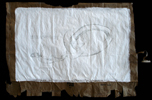 Schistosoma