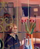 WindowReflection